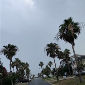 Meet your Posher, Jewel